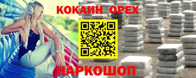 гашик Гатчина