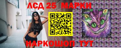 гашик Гатчина