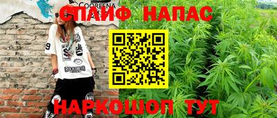гашик Гатчина